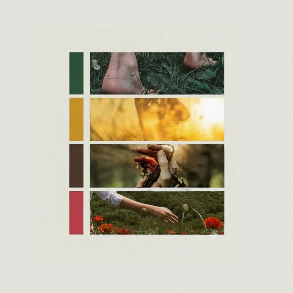 Moodboard con quattro campioni di colore accostati a fotografie di natura